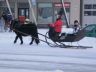 PC110538_1.jpg